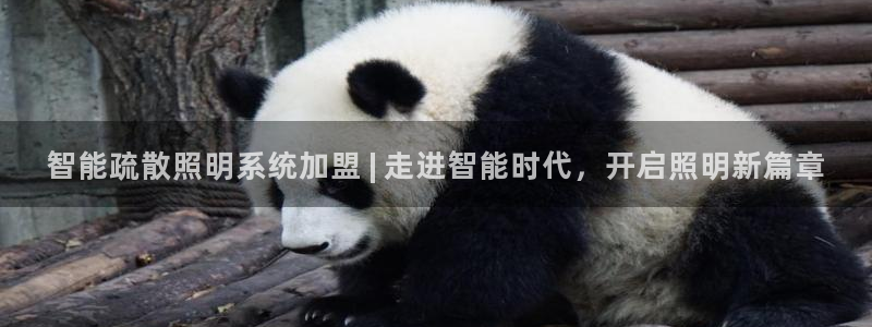 百度千亿国际:智能疏散照明系统加盟 | 走进智能时代,开启照明新篇章