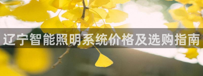 千亿国际唯一平台是什么：辽宁智能照明系统价格及选购指南