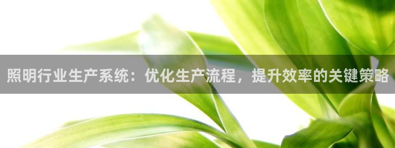 千亿国际2020官方网站pkufli9.201:照明行业生产系统:优化生产流程,提升效率的关键策略