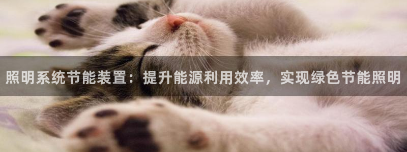千亿国际平台是真是假:照明系统节能装置:提升能源利用效率,实现绿色节能照明