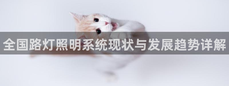 千亿国际2021官方网站baoli5.10:全国路灯照明系统现状与发展趋势详解