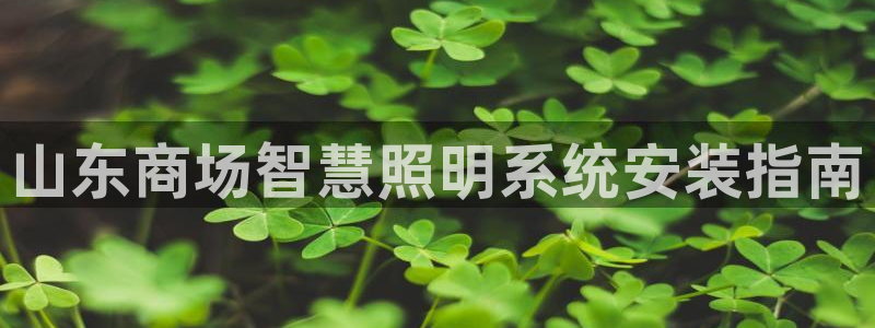 千亿国际电子游戏:山东商场智慧照明系统安装指南