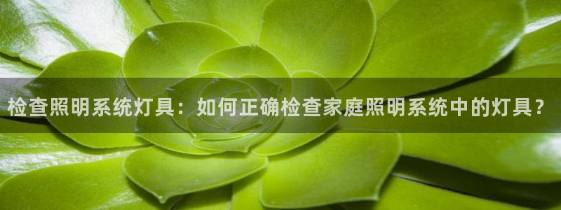 千亿国际手机版app下载官网:检查照明系统灯具:如何正确检查家庭照明系统中的灯具?