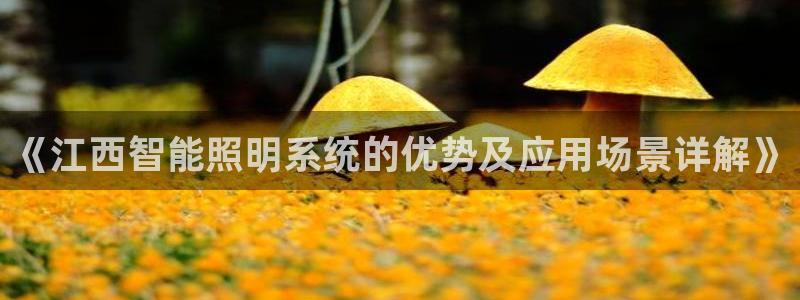 千亿国际登录网站首页:《江西智能照明系统的优势及应用场景详解》