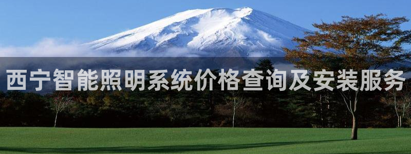 千亿国际芯片上市公司:西宁智能照明系统价格查询及安装服务