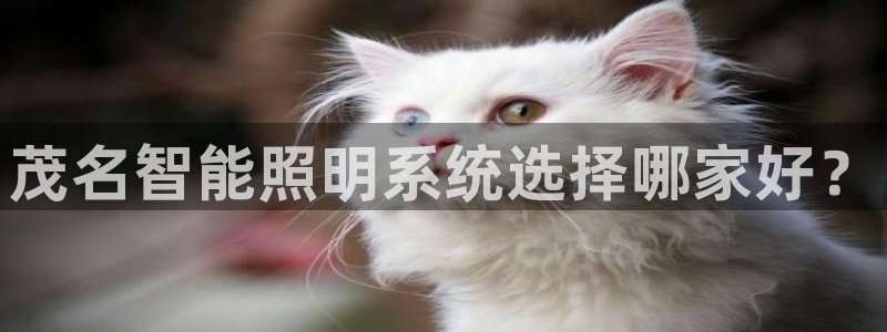 千亿国际提款有没有问题啊怎么查:茂名智能照明系统选择哪家好?