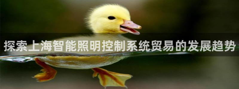 千亿国际公司网址是什么:探索上海智能照明控制系统贸易的发展趋势