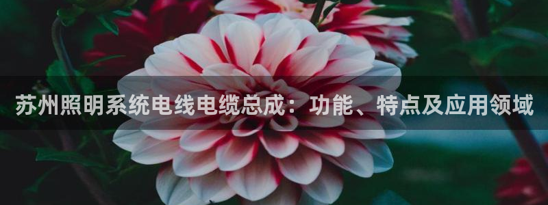 千亿国际手机版yb34、cn：苏州照明系统电线电缆总成：功能、特点及应用领域
