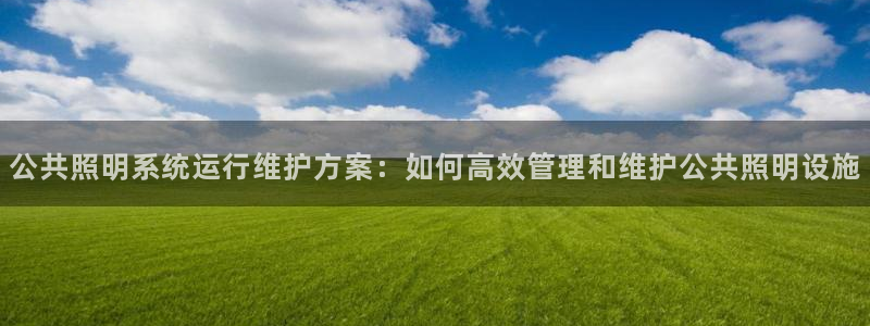千亿国际集团是国企吗：公共照明系统运行维护方案：如何高效管理和维护公共照明设施
