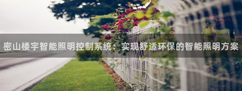 千亿国际欧阳文昊长的什么样:密山楼宇智能照明控制系统:实现舒适环保的智能照明方案