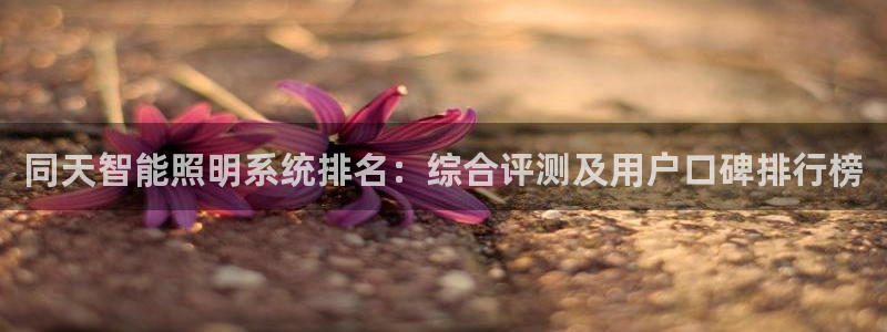 千亿国际平台：同天智能照明系统排名：综合评测及用户口碑排行榜