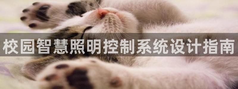 千亿国际线粒体：校园智慧照明控制系统设计指南