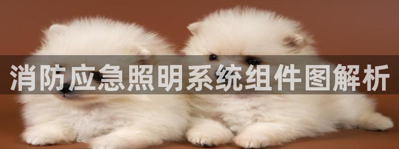千亿国际网页版登录下载