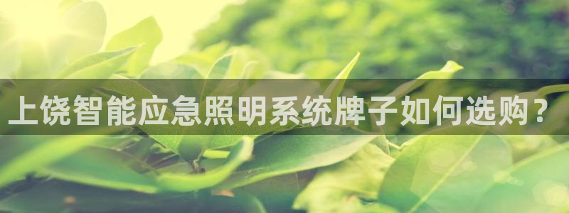 千亿国际董事长是谁呀