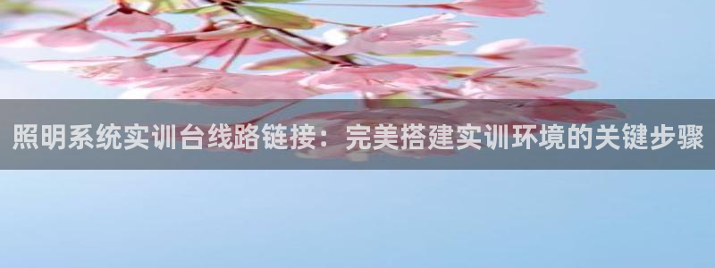 千亿国际平台是什么公司