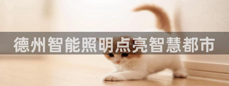 千亿国际手机版app下载安装