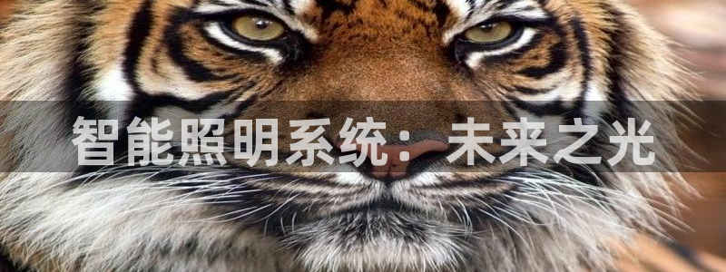 千亿国际中国官方