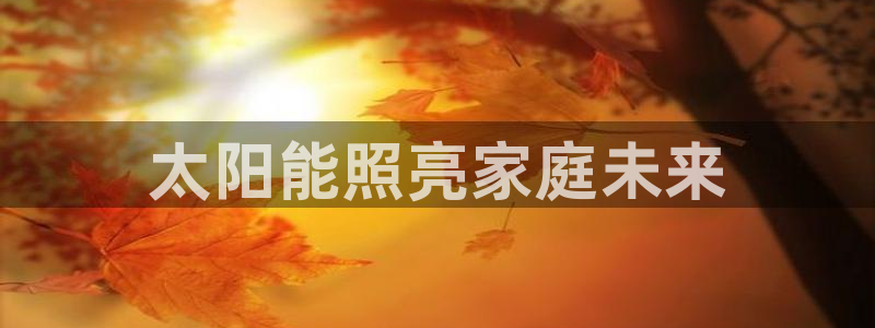 千亿国际芯片上市公司