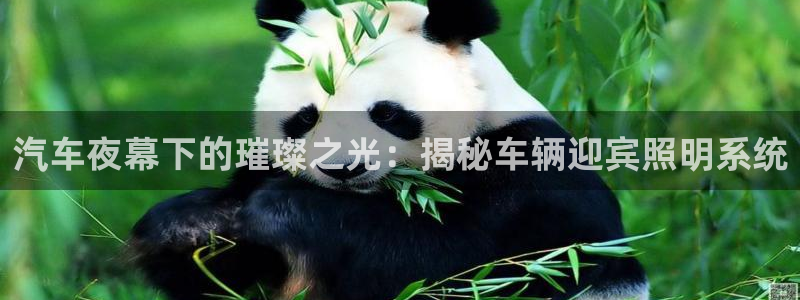 千亿国际集团招聘