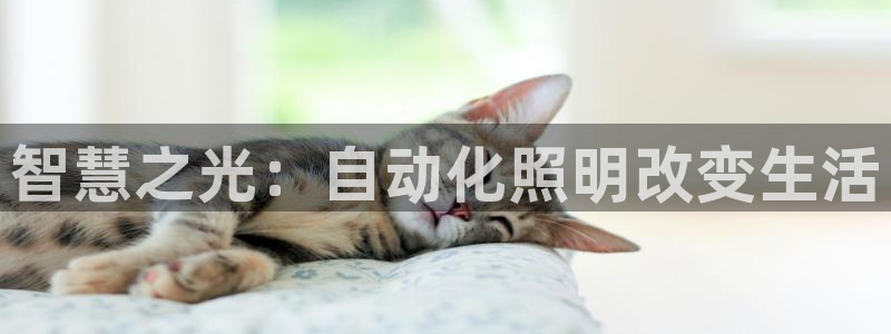 千亿国际中国官方