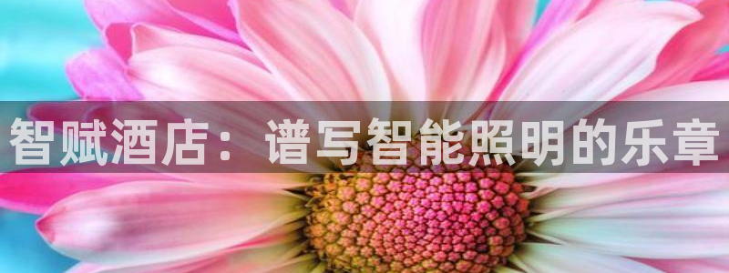 千亿国际的游戏怎么样知乎
