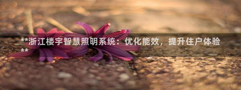 千亿国际网页版