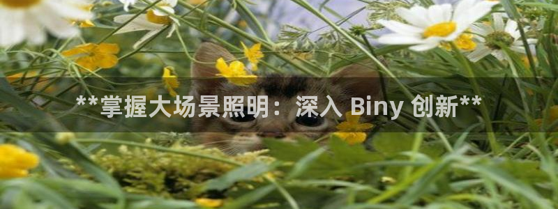 千亿国际手机登录版