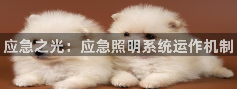 千亿国际平台还存在吗安全吗