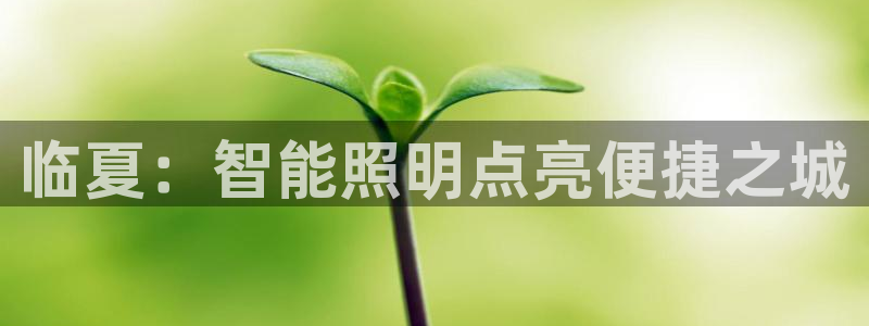 千亿国际平台是真是假啊