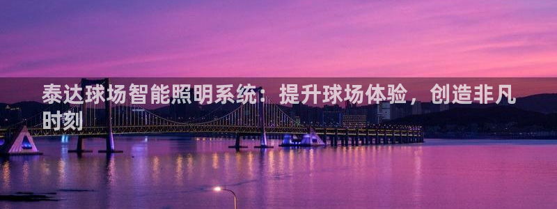 千亿国际芯片怎么样