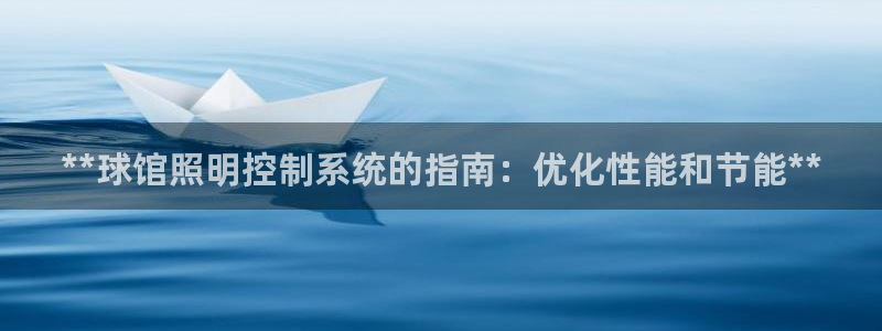 千亿国际平台登录：**球馆照明控制系统的指南：优化性能和节能**