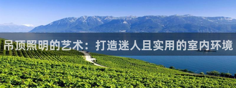 千亿国际(唯一)平台下载:吊顶照明的艺术:打造迷人且实用的室内环境