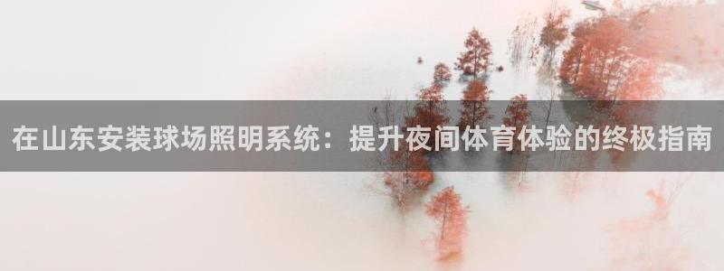 千亿国际q y 996:在山东安装球场照明系统:提升夜间体育体验的终极指南