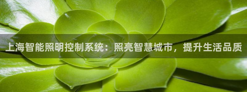 千亿国际官网:上海智能照明控制系统:照亮智慧城市,提升生活品质