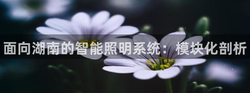 千亿国际pt：面向湖南的智能照明系统：模块化剖析
