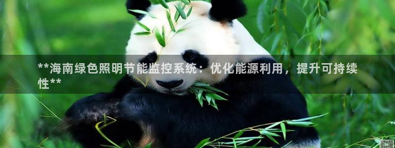 千亿国际的游戏怎么样:**海南绿色照明节能监控系统:优化能源利用,提升可持续
性**