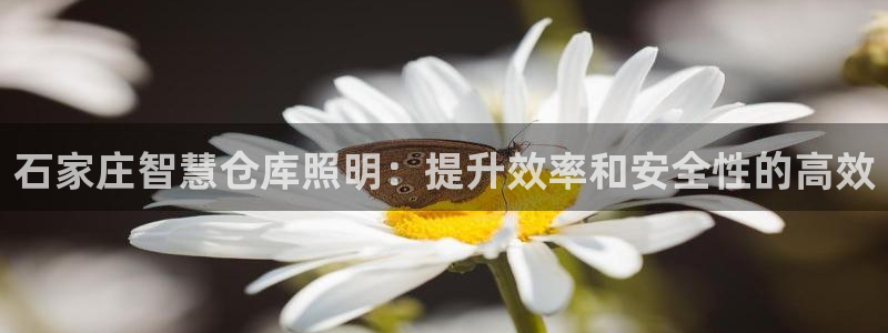 千亿国际在线新闻资讯:石家庄智慧仓库照明:提升效率和安全性的高效