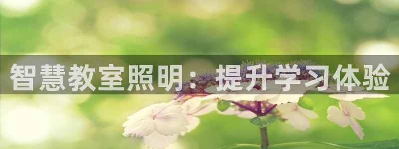 千亿国际是什么平台啊：智慧教室照明：提升学习体验