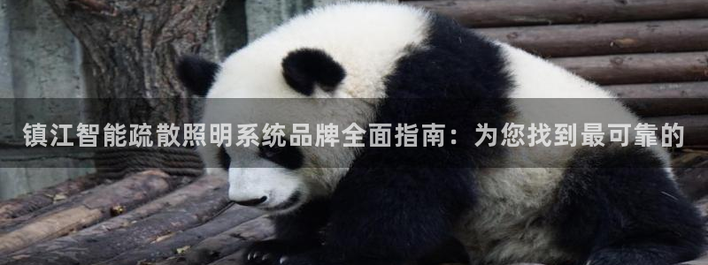 千亿国际服务平台是什么:镇江智能疏散照明系统品牌全面指南:为您找到最可靠的