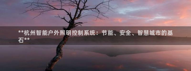 千亿国际跟盛辉是一家的吗是真的吗：**杭州智能户外照明控制系统：节能、安全、智慧城市的基
石**