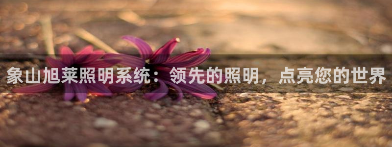 qy98千亿国际手机登录：象山旭莱照明系统：领先的照明，点亮您的世界