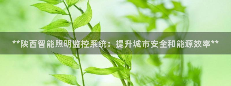 千亿国际pt游戏有哪些:**陕西智能照明监控系统:提升城市安全和能源效率**