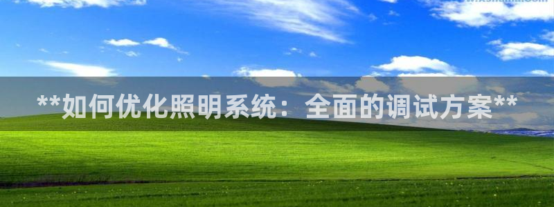 千亿国际是做什么的呢：**如何优化照明系统：全面的调试方案**