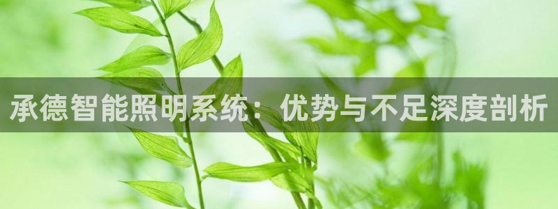 千亿国际合法吗:承德智能照明系统:优势与不足深度剖析
