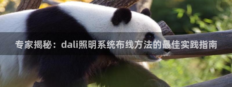 千亿国际手机官网下载：专家揭秘：dali照明系统布线方法的最佳实践指南