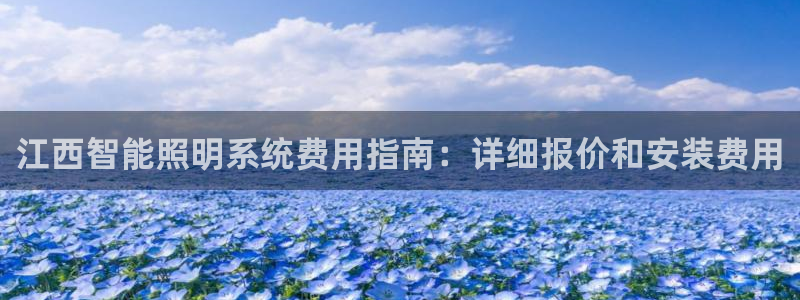 千亿国际qy996：江西智能照明系统费用指南：详细报价和安装费用