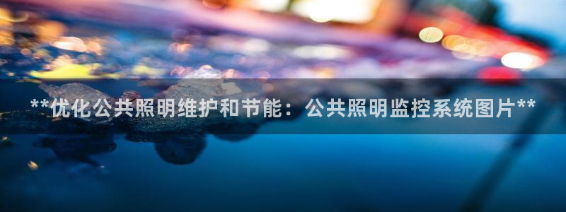 千亿国际全新官网首页:**优化公共照明维护和节能:公共照明监控系统图片**