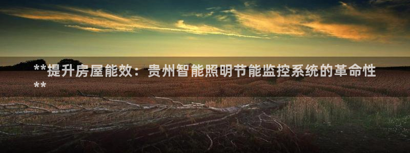千亿国际平台是真是假呀:**提升房屋能效:贵州智能照明节能监控系统的革命性
**