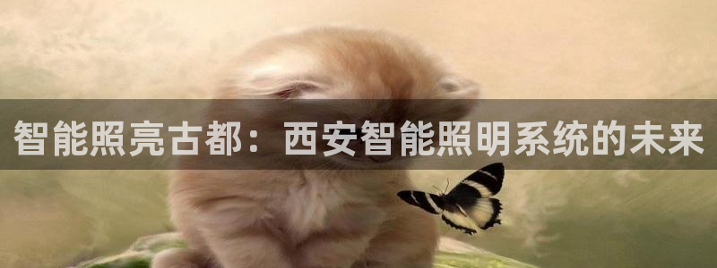 千亿国际网页版:智能照亮古都:西安智能照明系统的未来