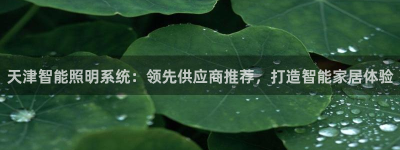 千亿国际登录网站首页:天津智能照明系统:领先供应商推荐,打造智能家居体验